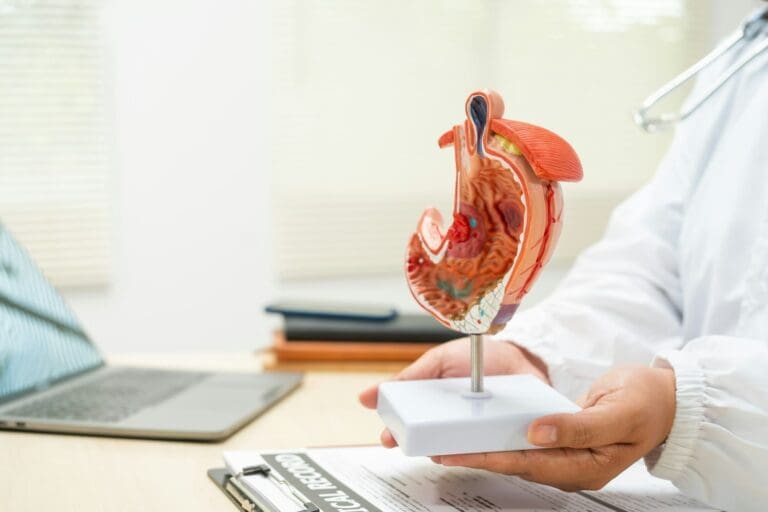 Doctor care prezintă sistemul digestiv